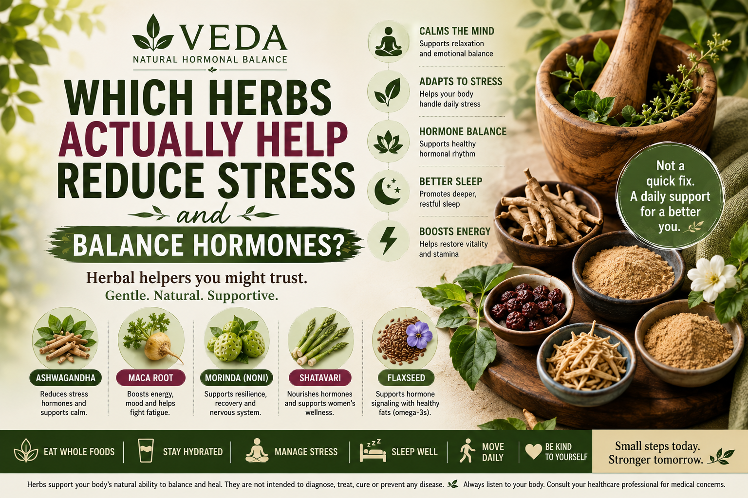 Assorted dried herbs and ashwagandha root, symbolizing natural stress relief